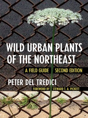 cover image of Wild Urban Plants of the Northeast